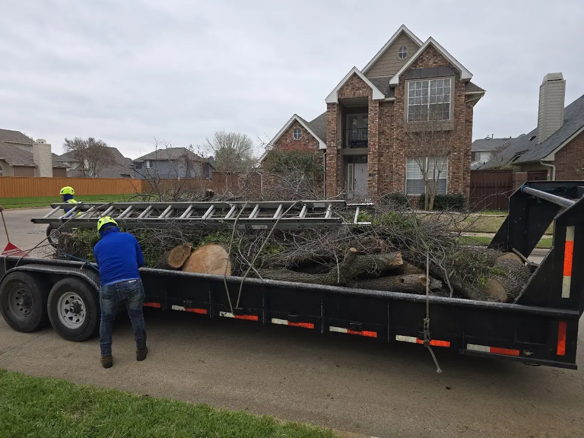 Expert Tree Removal with proper safety equipment in Herminie